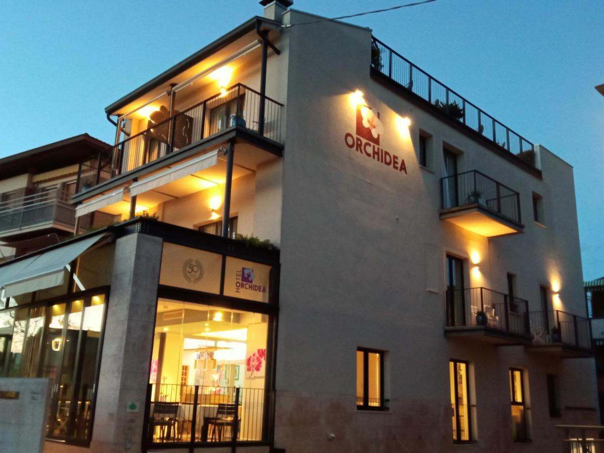 Hotel Orchidea Bardolino Zewnętrze zdjęcie